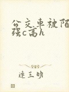 公交车被陌生人强c高h