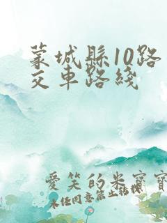 蒙城县10路公交车路线