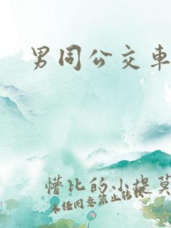 男同公交车