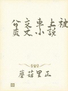 公交车上被强上爽文小说