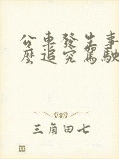 公车发生事故怎么追究驾驶员责任