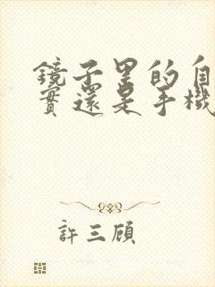 镜子里的自己真实还是手机原相机