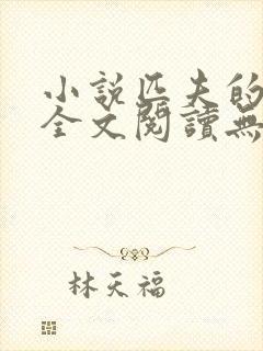 小说匹夫的逆袭全文阅读无弹窗