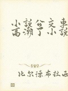 小说公交车被上高潮了小说