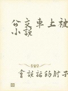 公交车上被插入小说