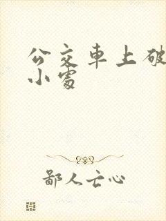 公交车上破了两小处