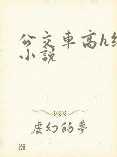 公交车高h纯肉小说