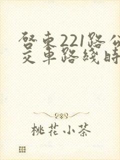 启东221路公交车路线时间表