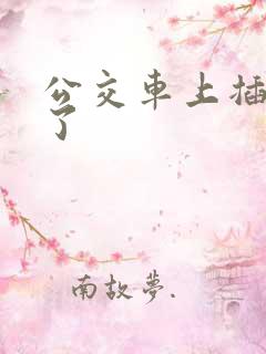 公交车上插进去了