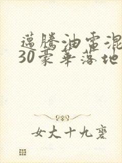 迈腾油电混动330豪华落地价