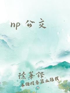np 公交
