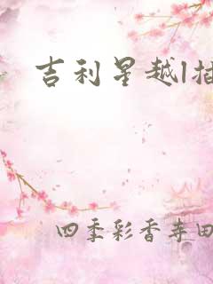 吉利星越l插混