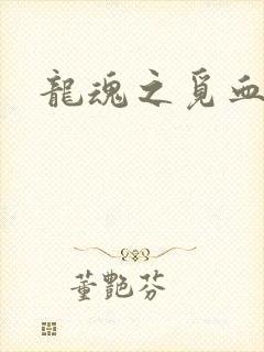 龙魂之觅血心缘