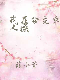 我在公交车上被人操