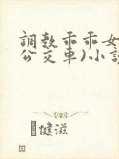 调教乖乖女h(公交车)小说
