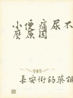 小便痛尿不尽什么原因