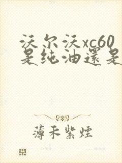 沃尔沃xc60是纯油还是油电混动