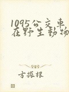 1095公交车在野生动物园停靠时间表