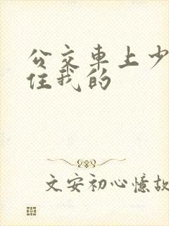 公交车上少妇握住我的