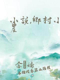 小说,乡村小神农
