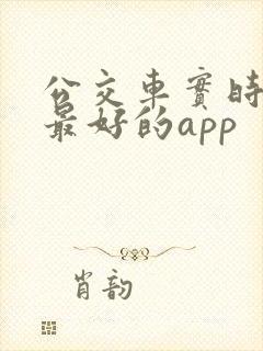 公交车实时查询最好的app