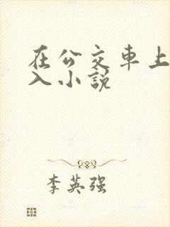 在公交车上被后入小说