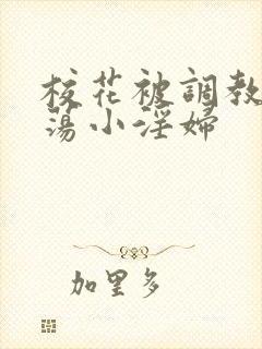 校花被调教成放荡小淫妇