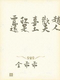 贾政喜欢赵姨娘还是王夫人