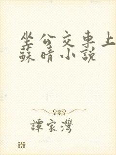 坐公交车上班的苏晴小说