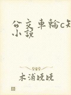 公交车轮c短篇小说