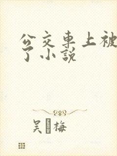 公交车上被高潮了小说