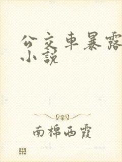 公交车暴露调教小说