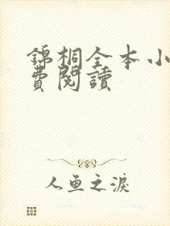 锦桐全本小说免费阅读