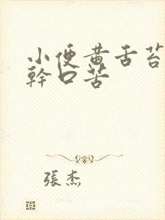 小便黄舌苔黄口干口苦