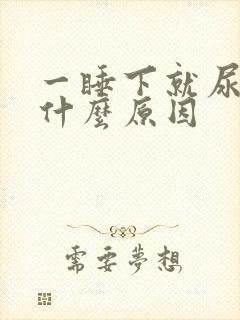 一睡下就尿多是什么原因