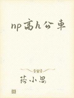 np高h公车
