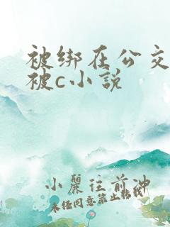 被绑在公交车里被c小说