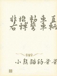 非机动车直行与右转弯车辆相撞责任认定