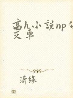 高h小说np公交车