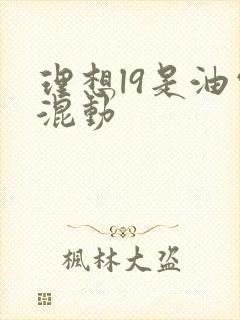 理想l9是油电混动
