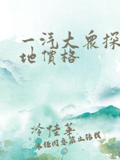 一汽大众探岳落地价格