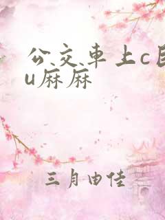 公交车上c巨ru麻麻