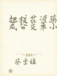 把校花灌药调教成公交车小说