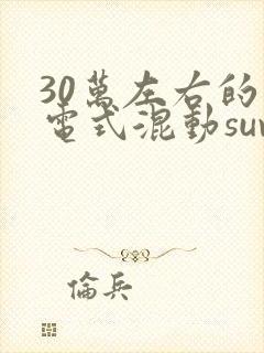 30万左右的插电式混动suv