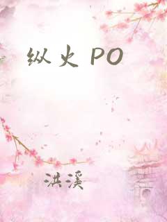 纵火 PO
