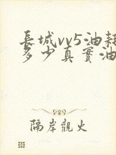 长城vv5油耗多少真实油耗