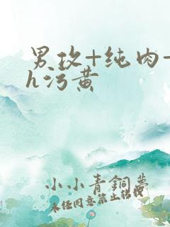 男攻+纯肉+高h污黄