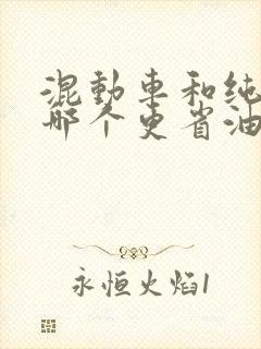 混动车和纯电车哪个更省油
