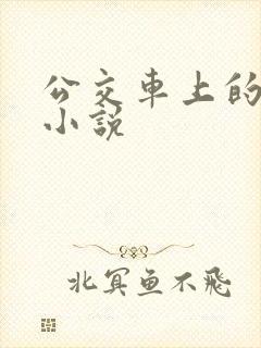 公交车上的强暴小说