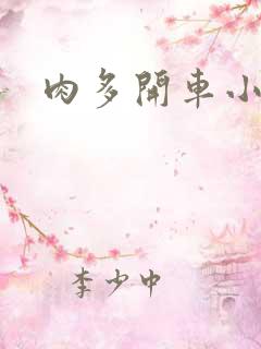 肉多开车小说